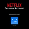 Netflix Private Account for Sale - Access Secure Streaming Platform